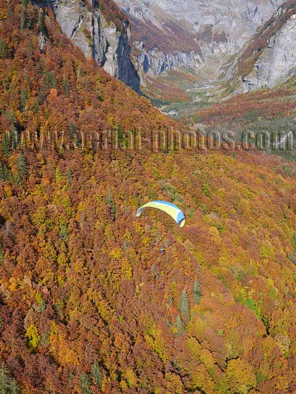 Aerial view. Photo of a paraglider above a forest with autumnal colors, Haute-Savoie, Auvergne-Rhône-Alpes, France. Vue aérienne parapente.