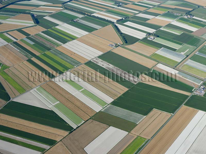 AERIAL VIEW photo of farmlands within polders, Mont Saint-Michel, Normandy, France. VUE AERIENNE terres agricoles dans des polders, Normandie.