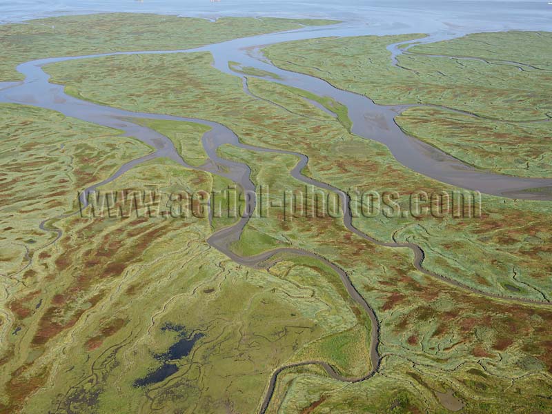 AERIAL VIEW photo of salt marsh, Scheldt River, Verdronken Land van Saeftinghe, Zeeland, Netherlands. LUCHTFOTO zout moeras, Schelde, Nederland.