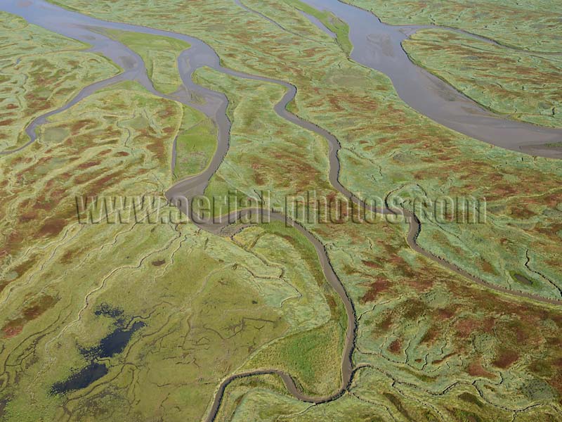 AERIAL VIEW photo of salt marsh, Scheldt River, Verdronken Land van Saeftinghe, Zeeland, Netherlands. LUCHTFOTO, zout moeras, Schelde, Nederland.