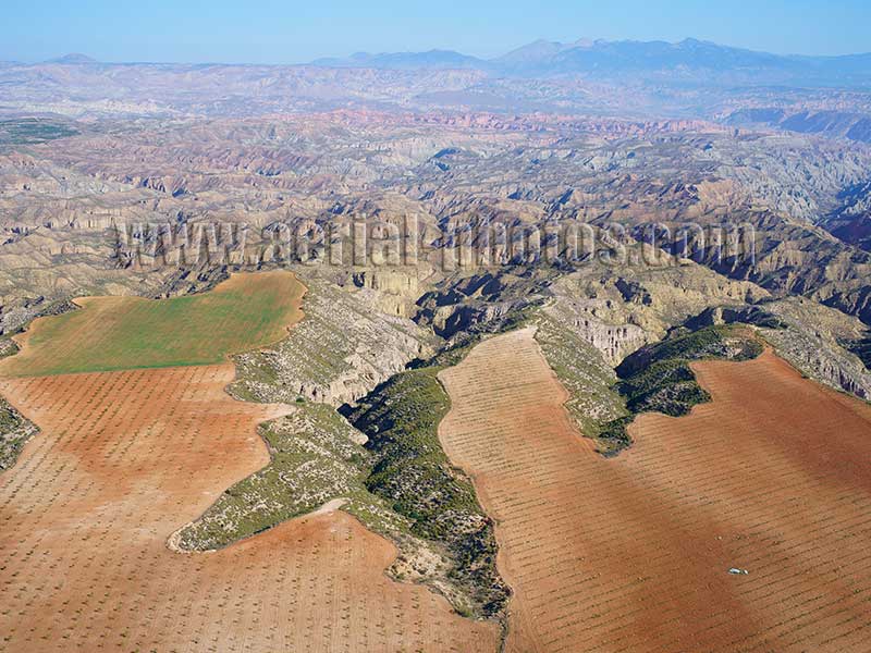 AERIAL VIEW photo of badlands in Gorafe, Andalusia, Spain. VISTA AEREA Desierto de Gorafe, Andalucia, España.